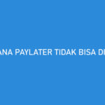 DANA PayLater Tidak Bisa Digunakan Begini Cara Mengatasinya