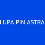 Lupa PIN AstraPay Ini Cara Mengatasinya