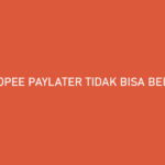 Shopee PayLater Tidak Bisa Beli Pulsa Begini Cara Mengatasinya