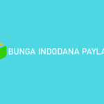 Bunga Indodana PayLater 1