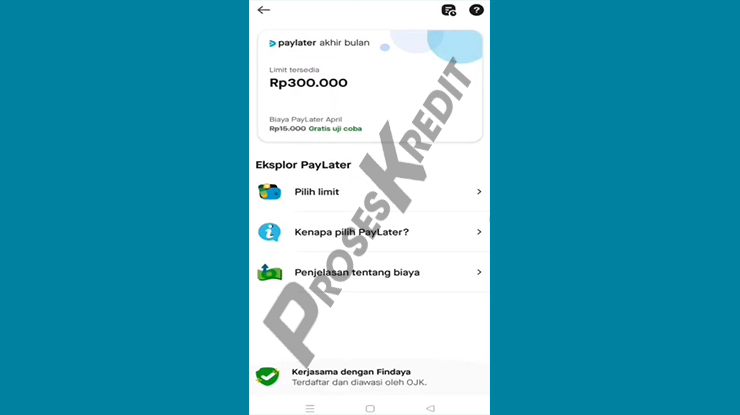 Paylater Gojek Siap Digunakan