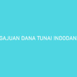 Pengajuan Dana Tunai Indodana Ditolak Begini Cara Mengatasinya