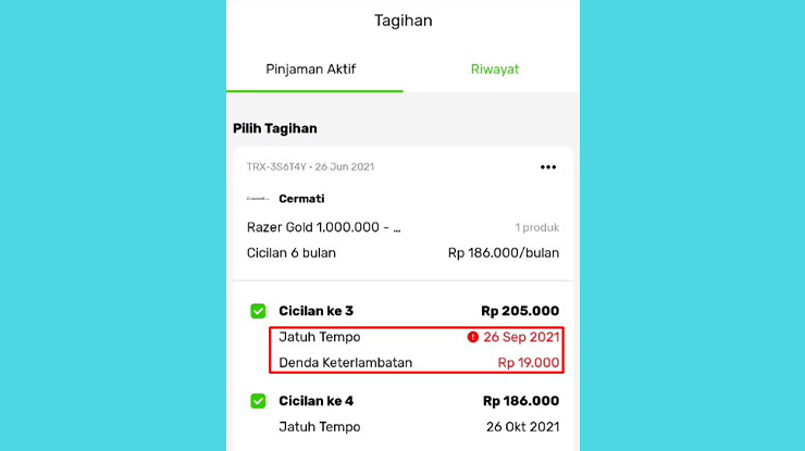 Penyebab Saldo Indodana Paylater Tidak Aktif