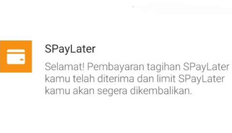 Apa Itu Limit Kredit Sementara Shopee PayLater