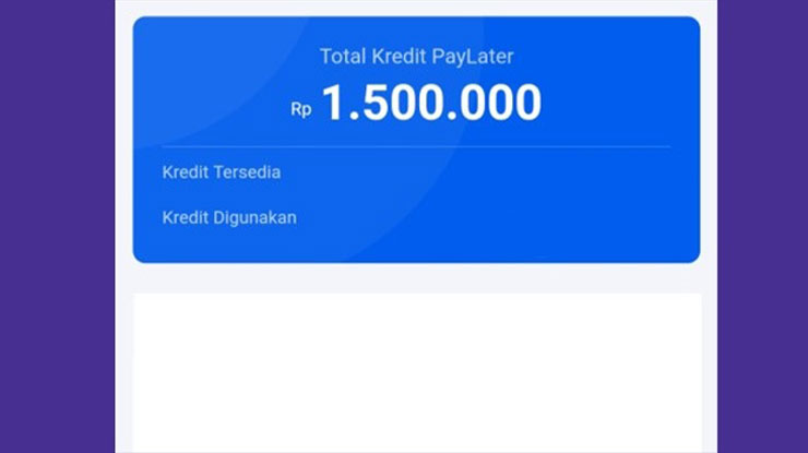 Ketentuan Limit Lazada PayLater