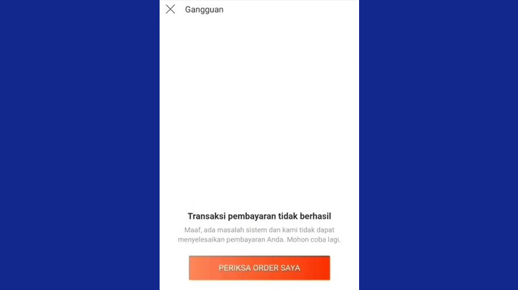 Lazada PayLater Tidak Bisa Digunakan