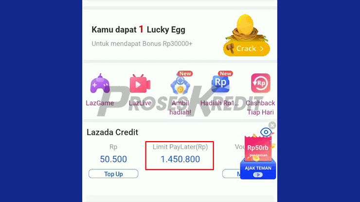 Bayar Tagihan Lazada PayLater via DANA Berhasil 2