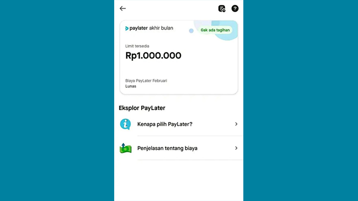 Syarat Menonaktifkan Gojek PayLater