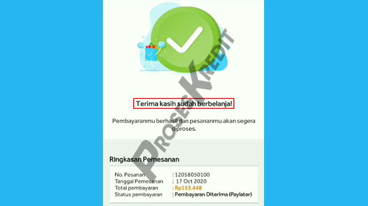 Belanja Menggunakan BliPay Berhasil