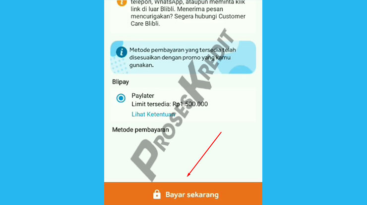 Klik Bayar Sekarang 2