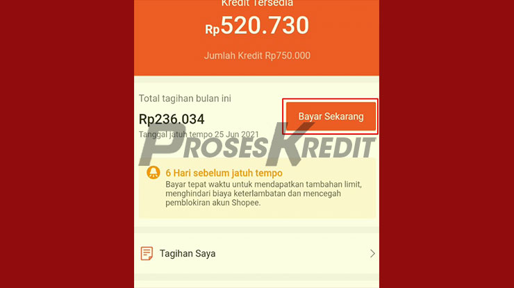 Klik Bayar Sekarang