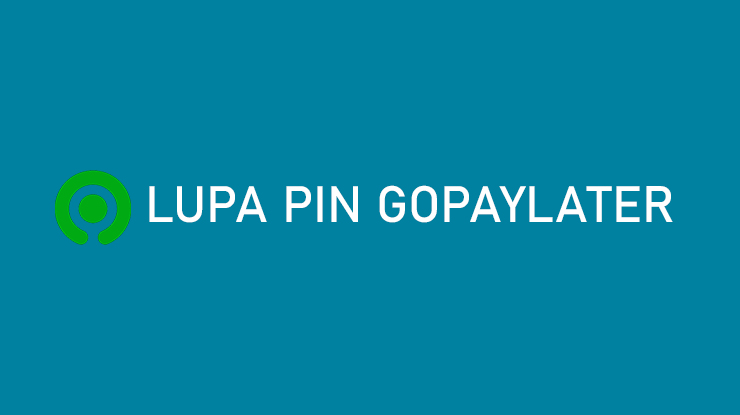 Lupa PIN GoPayLater Penyebab Cara Mengatasi