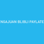 Pengajuan BliBli PayLater Gagal Begini Cara Mengatasi