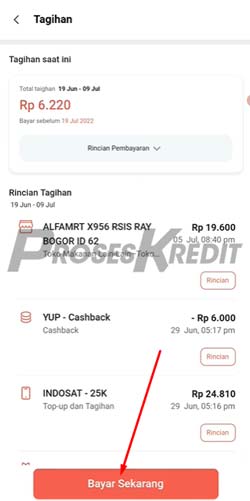 5. Klik Bayar Sekarang