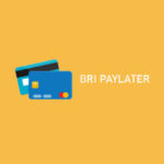 BRI PayLater