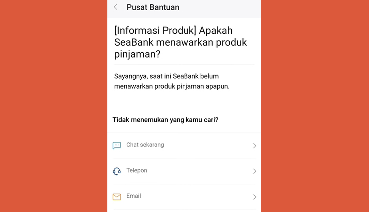 Apakah Seabank Bisa Pinjam Uang