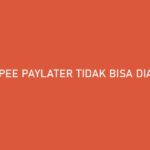 Shopee PayLater Tidak Bisa Diaktifkan