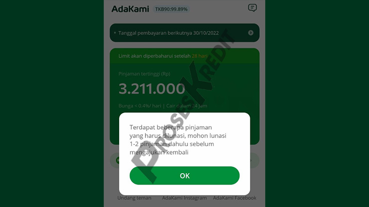 AdaKami Tidak Bisa Pinjam Lagi