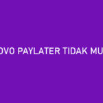 OVO PayLater Tidak Muncul