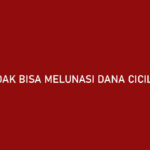 Tidak Bisa Melunasi Dana Cicil Akulaku Begini Penjelasannya