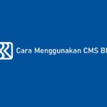 Cara Menggunakan CMS BRI