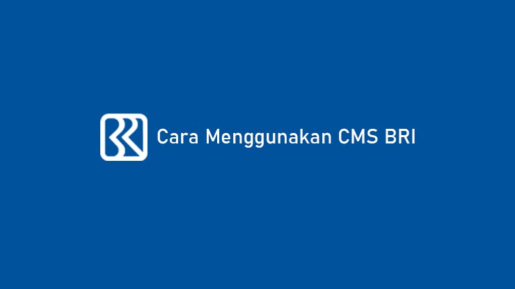 Cara Menggunakan CMS BRI