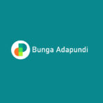 Bunga Adapundi