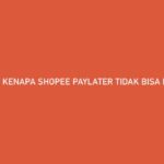 Kenapa Shopee PayLater Tidak Bisa Dibuka